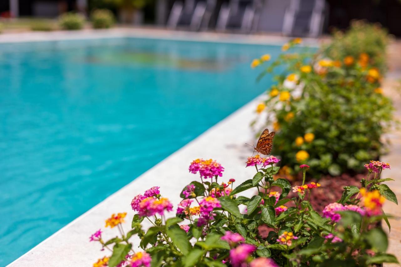 Shalom Chamo Villas Увита Экстерьер фото